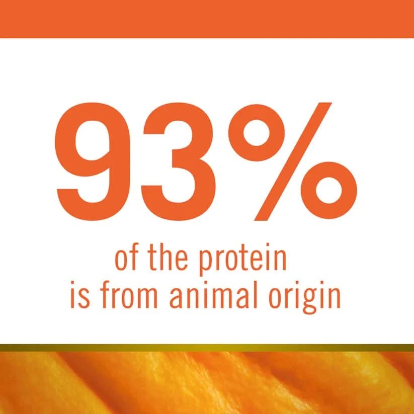 Farmina N&D Pumpkin Dry Dog Food Puppy Medium & Maxi Breed Chicken & Pomegranate Grain Free - dspetstore.com