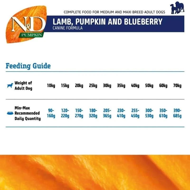Farmina N&D Pumpkin Lamb & Blueberry Grain Free Medium & Maxi Breed Adult Dry Dog Food - dspetstore.com