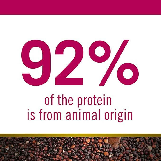 Farmina N&D Quinoa Digestion Lamb Adult Dry Cat Food - dspetstore.com