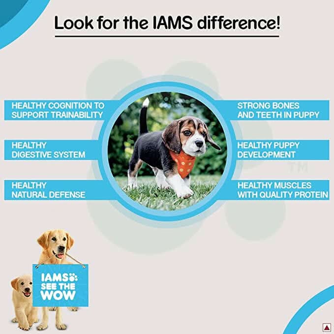 IAMS Premium Mother & Baby Dry Dog Food with Chicken - dspetstore.com