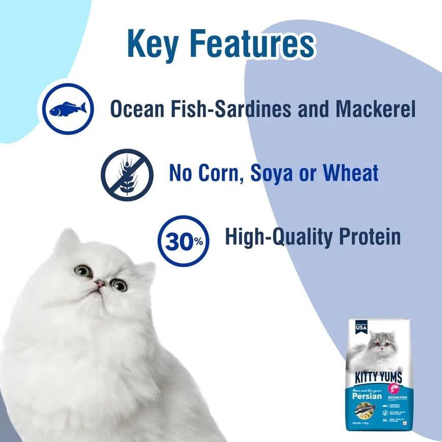 Kitty Yums Ocean Fish Persian Cat Dry Food - dspetstore.com