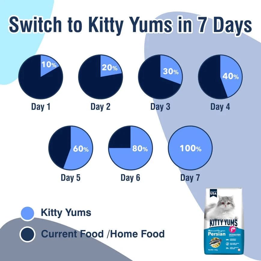 Kitty Yums Ocean Fish Persian Cat Dry Food - dspetstore.com
