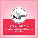 Let's Bite Active Adult Dry Cat Food - dspetstore.com