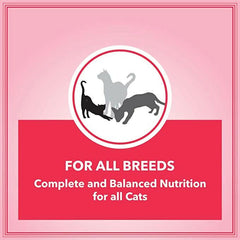 Let's Bite Active Adult Dry Cat Food - dspetstore.com