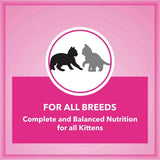Let's Bite Active Kitten Ocean Fish Cat Dry Food (Buy 1 Get 1 Free) - dspetstore.com