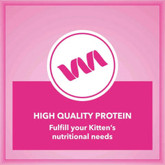 Let's Bite Active Kitten Ocean Fish Cat Dry Food (Buy 1 Get 1 Free) - dspetstore.com