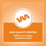 Let's Bite Active Puppy Chicken Dog Dry Food — 10kg - dspetstore.com