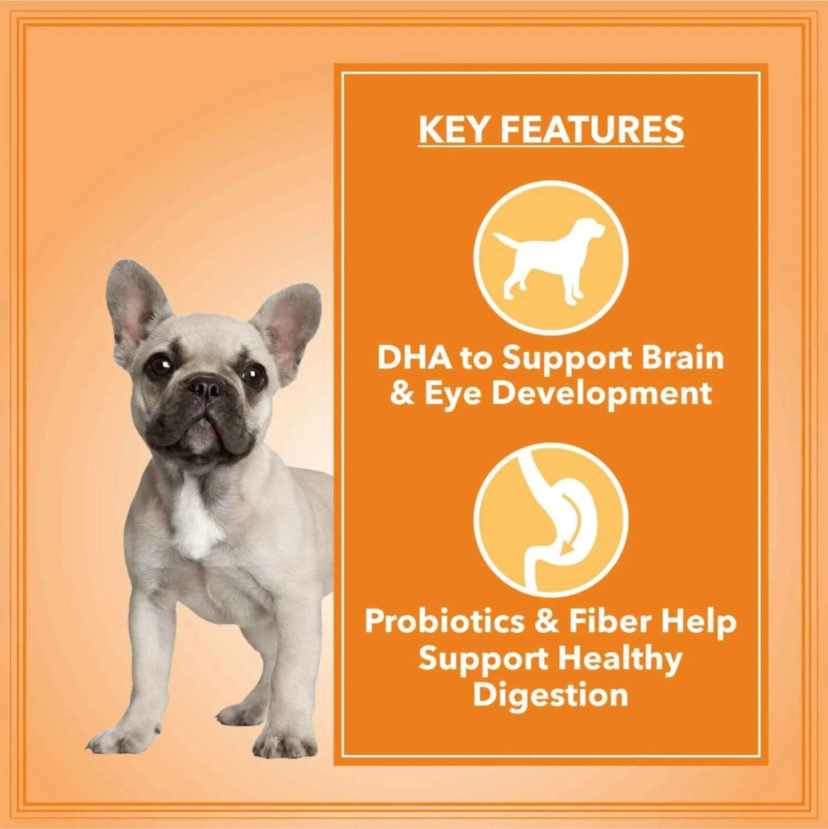 Let's Bite Active Puppy Chicken Dog Dry Food — 10kg - dspetstore.com