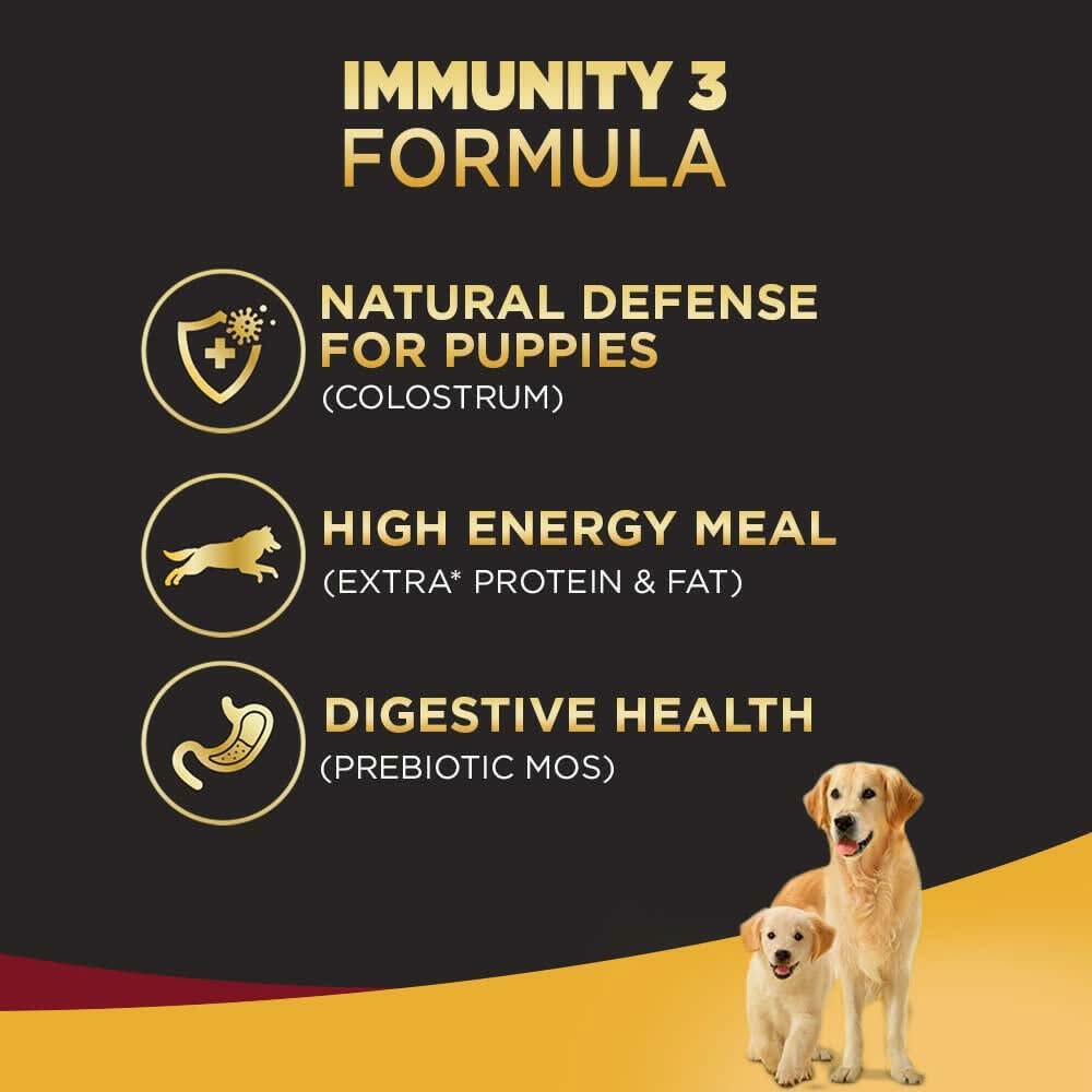 Pedigree Pro Starter Mother and Pup Large Breed - dspetstore.com