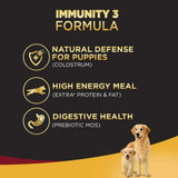 Pedigree Pro Starter Mother and Pup Large Breed - dspetstore.com