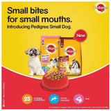 Pedigree Puppy Small Dog Dry Food - dspetstore.com