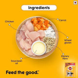 Pedigree Puppy Wet Food Chicken & Chunks in Gravy - dspetstore.com