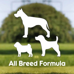 Purepet Chew Bone Dog Treats - dspetstore.com