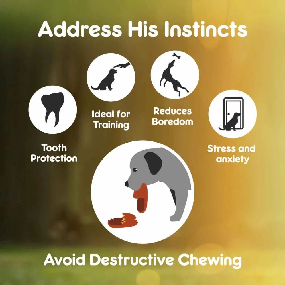 Purepet Chew Bone Dog Treats - dspetstore.com