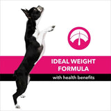 Purepet Chicken & Milk Adult Dry Dog Food - dspetstore.com