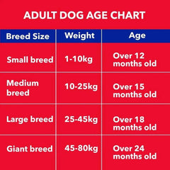 Purepet Chicken & Vegetable Adult Dry Dog Food - dspetstore.com