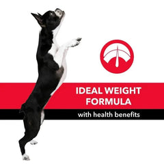 Purepet Chicken & Vegetable Adult Dry Dog Food - dspetstore.com