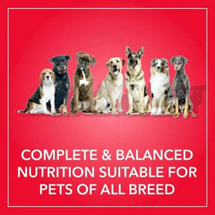 Purepet Chicken & Vegetable Adult Dry Dog Food - dspetstore.com