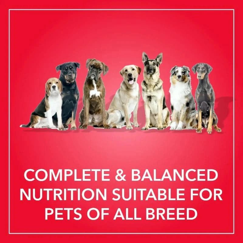 Purepet Dry Dog Food – Meat and Rice - dspetstore.com