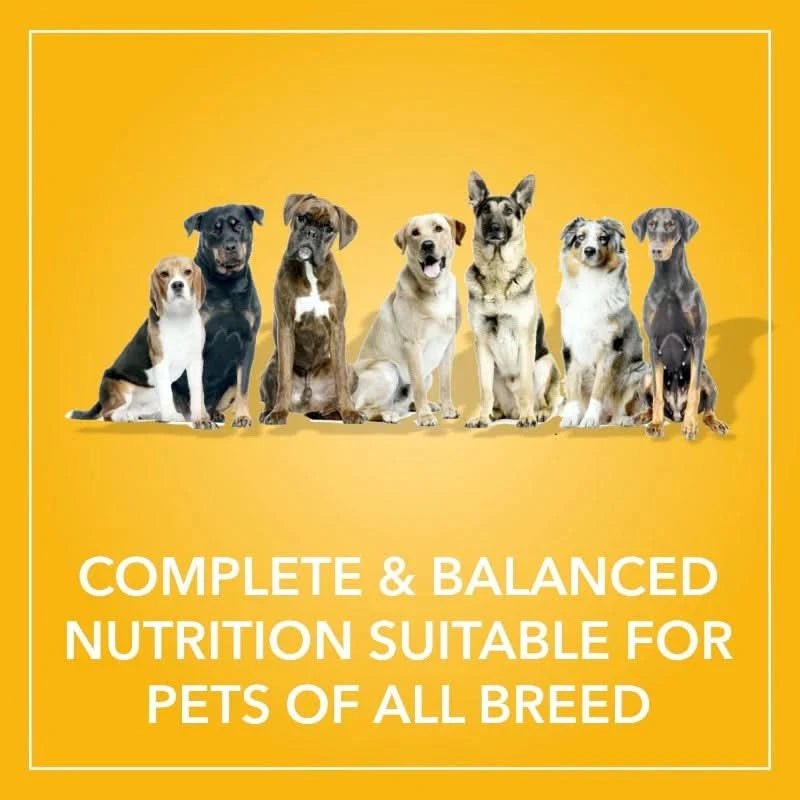 Purepet Dry Dog Food – Smoked Chicken - dspetstore.com