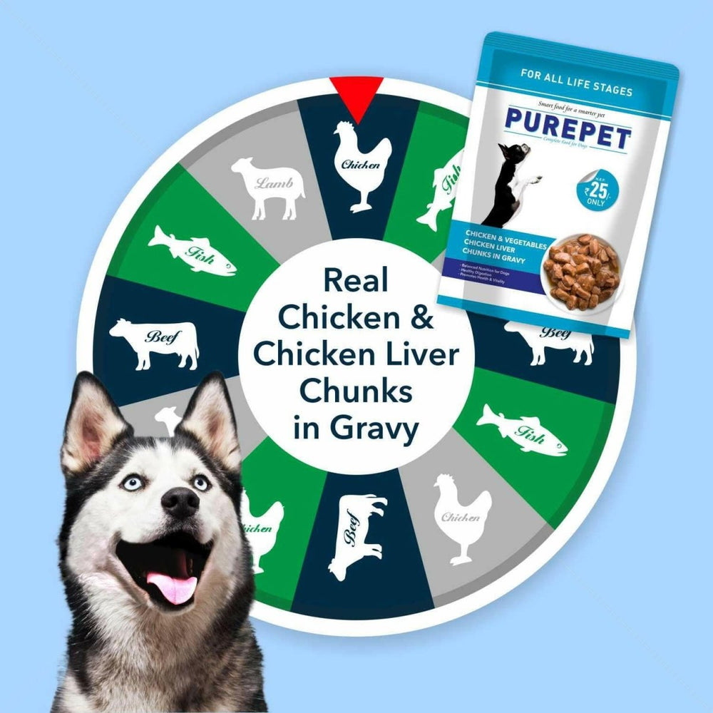 Purepet Gravy Chunks Wet Dog Food – Chicken & Vegetable Flavour, 70 g - dspetstore.com