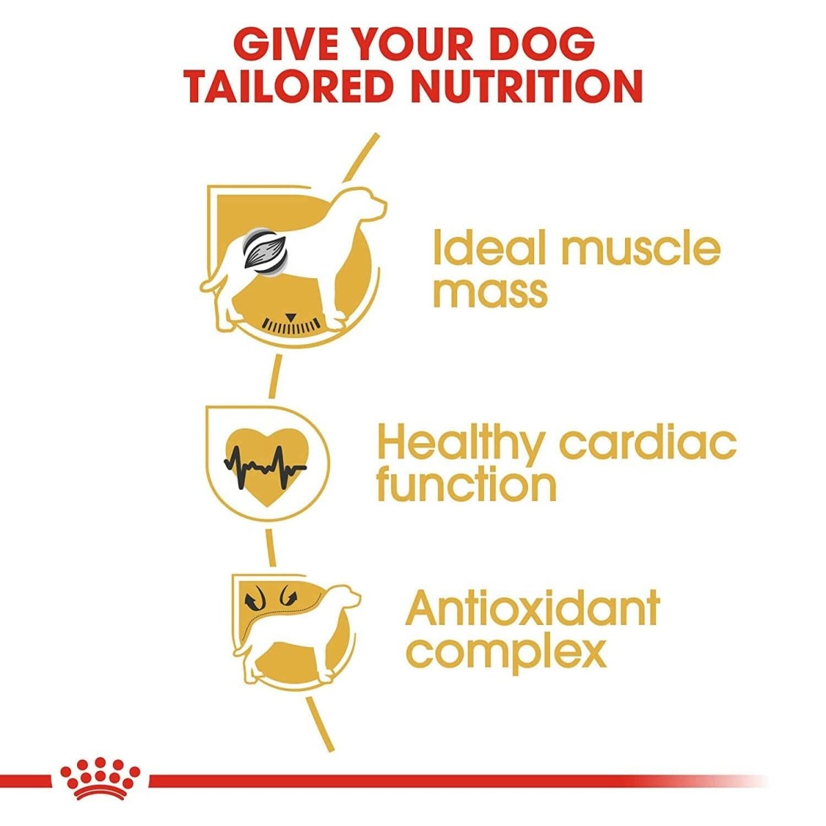 Royal Canin Boxer Adult Dry Dog Food - dspetstore.com