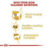 Royal Canin Boxer Adult Dry Dog Food - dspetstore.com