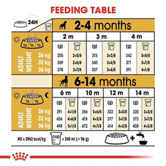 Royal Canin Boxer Puppy Dry Dog Food - dspetstore.com