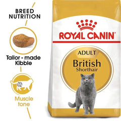 Royal Canin British Shorthair Adult Dry Cat Food - dspetstore.com