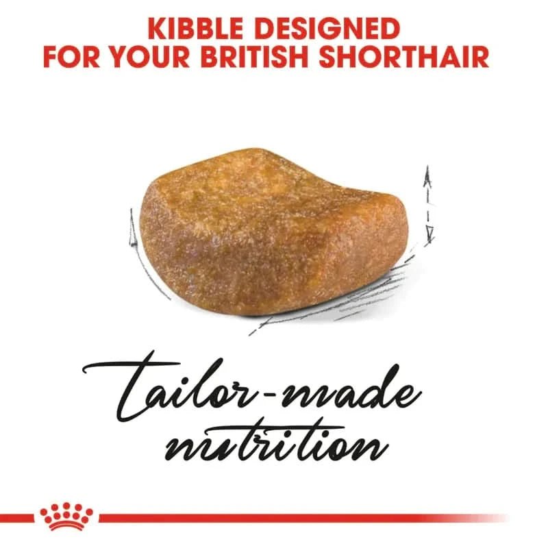 Royal Canin British Shorthair Adult Dry Cat Food - dspetstore.com