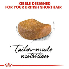 Royal Canin British Shorthair Adult Dry Cat Food - dspetstore.com