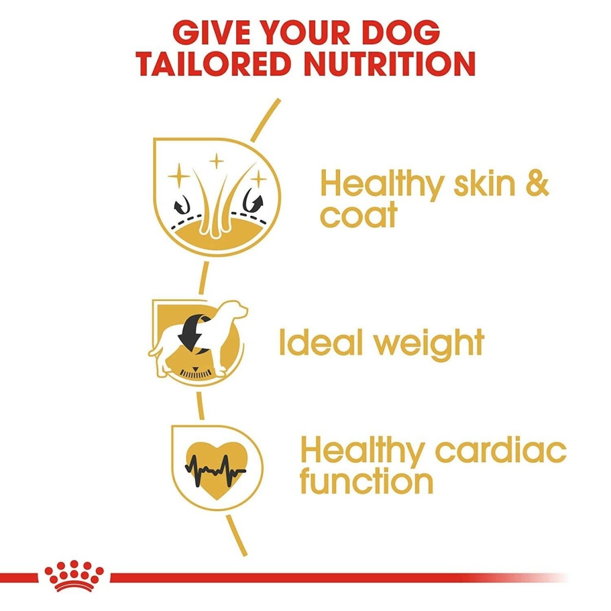 Royal Canin Cocker Spaniel Adult Dry Dog Food - 3kg - dspetstore.com