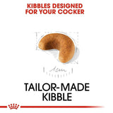 Royal Canin Cocker Spaniel Puppy Dry Dog Food - dspetstore.com