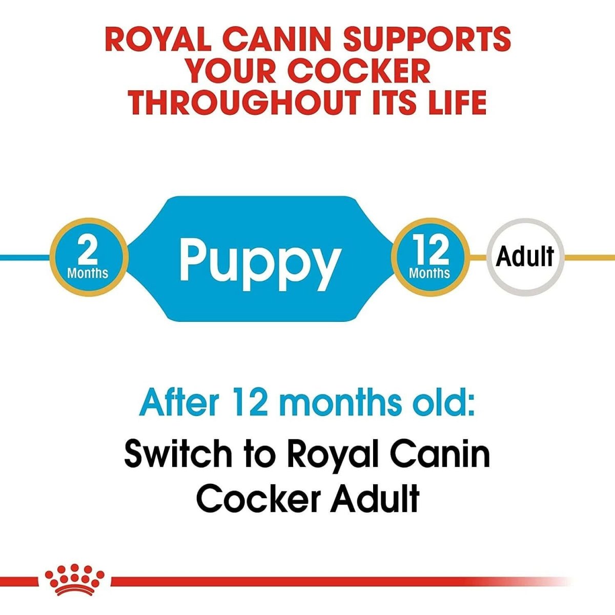 Royal Canin Cocker Spaniel Puppy Dry Dog Food - dspetstore.com