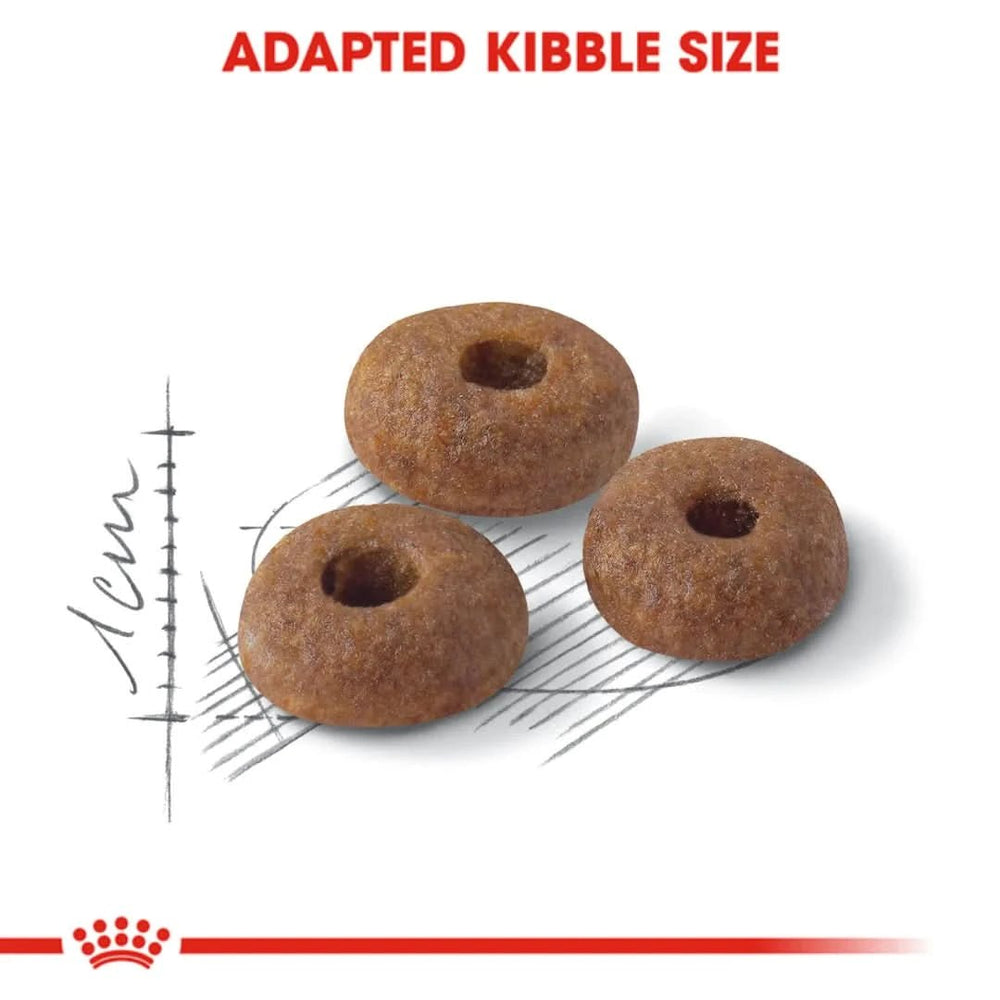 Royal Canin Fit 32 Adult Dry Cat Food - dspetstore.com