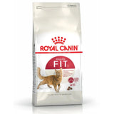 Royal Canin Fit 32 Adult Dry Cat Food - dspetstore.com