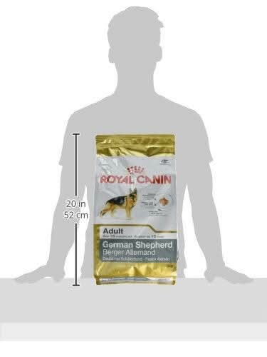 Royal Canin German Shepherd Adult Dry Dog Food - dspetstore.com