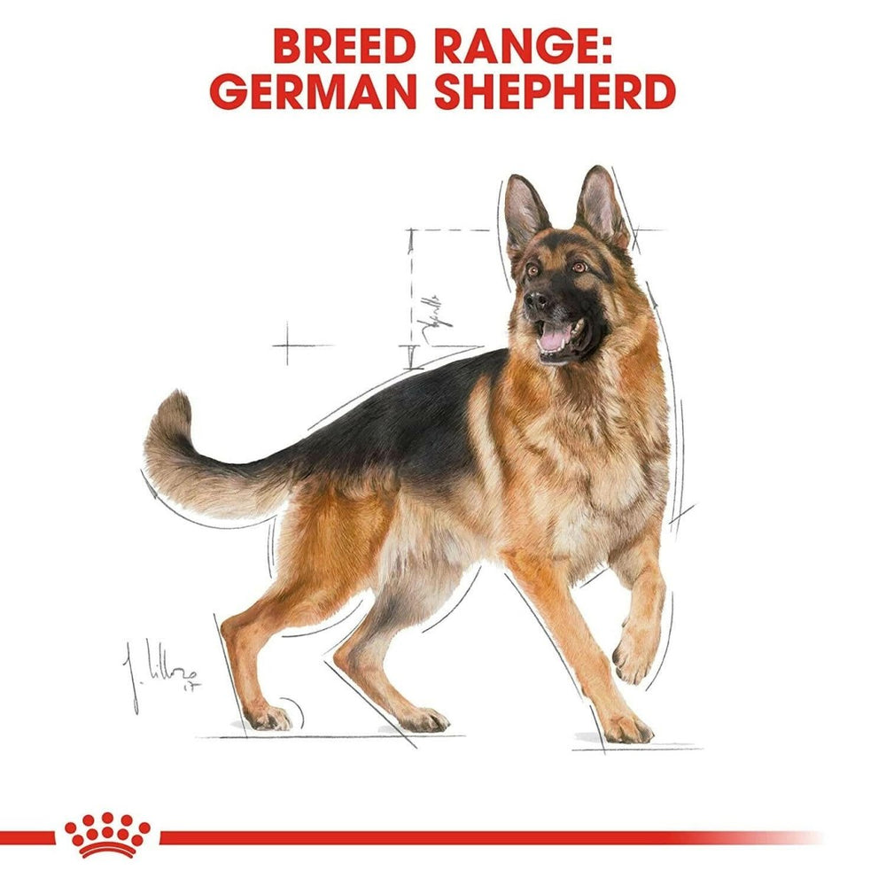 Royal Canin German Shepherd Adult Dry Dog Food - dspetstore.com