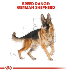 Royal Canin German Shepherd Adult Dry Dog Food - dspetstore.com