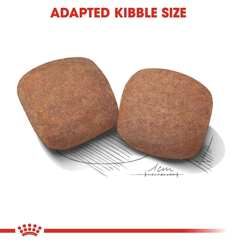 Royal Canin Giant Adult Dry Dog Food - dspetstore.com