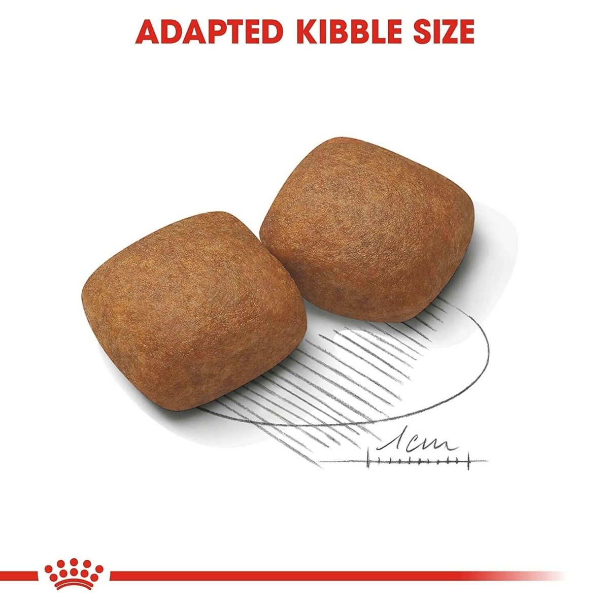 Royal Canin Giant Junior Dog Food - dspetstore.com