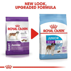 Royal Canin Giant Junior Dog Food - dspetstore.com