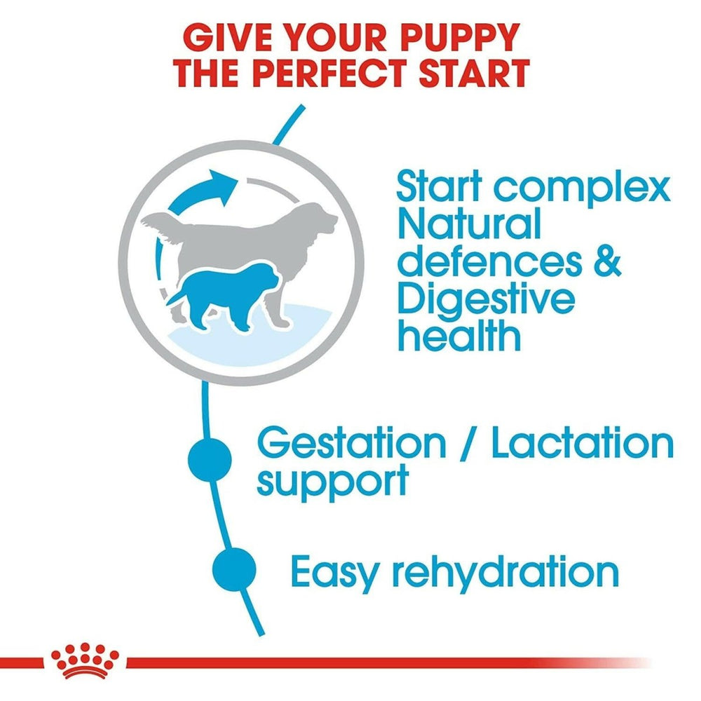 Royal Canin Giant Starter Dog Food - dspetstore.com