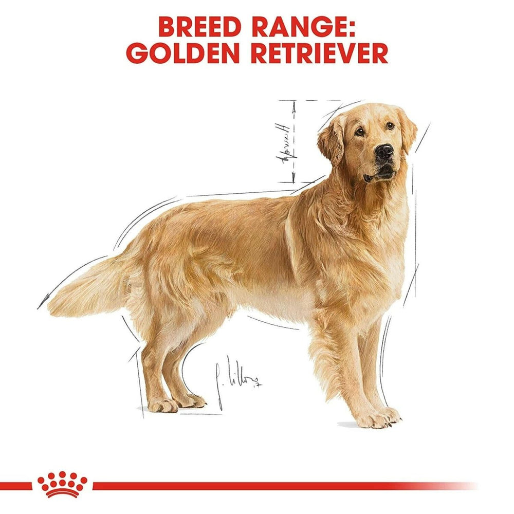 Royal Canin Golden Retriever Adult Dry Dog Food - dspetstore.com