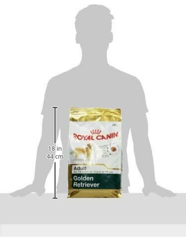 Royal Canin Golden Retriever Adult Dry Dog Food - dspetstore.com