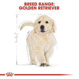 Royal Canin Golden Retriever Puppy Dry Dog Food - dspetstore.com