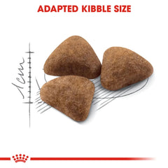 Three pieces of adapted kibble size with a scale and Royal Canin logo on a white background.