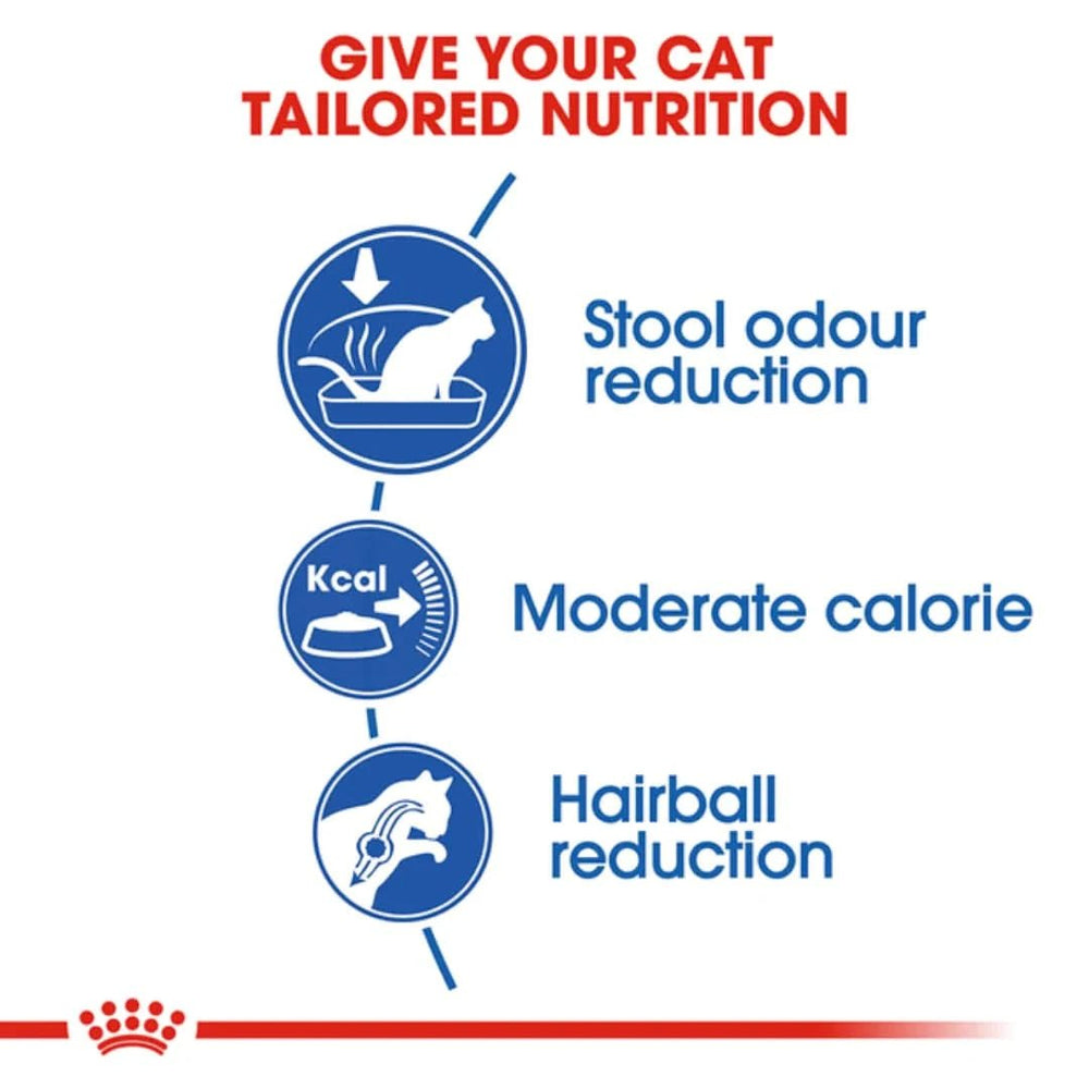 Diagram of cat nutrition benefits with icons and text on a white background