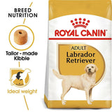 Royal Canin Labrador Adult Dry Dog Food - dspetstore.com
