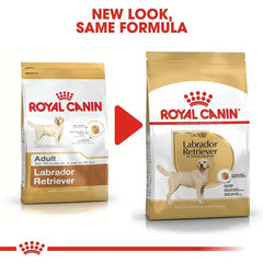 Royal Canin Labrador Adult Dry Dog Food - dspetstore.com